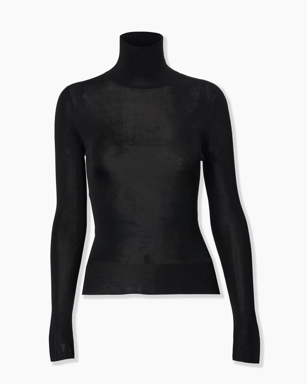 Sheer Turtleneck Sweater